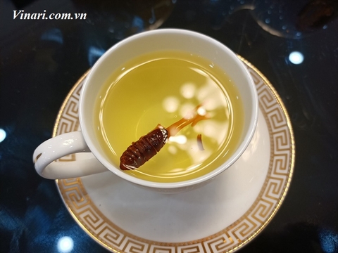 Đông trùng hạ thảo Huyền Thuynh