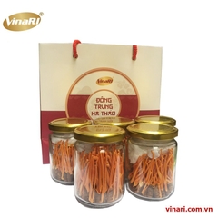 Đông Trùng Hạ Thảo Nguyên Con - 40 Con/ Lọ